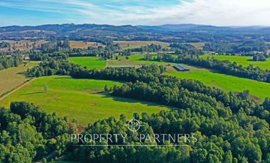 Paillaco, ganadero, muy buenas construcciones y sistema de riego