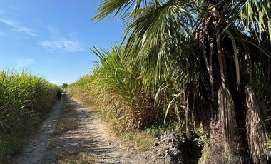Terreno en venta en Cuisillos, Tala, Jalisco