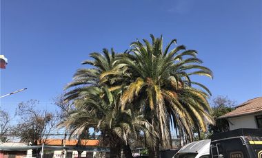 Excelente Terreno para Inmobiliarias y Comercial!!