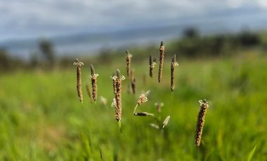 VENTA PARCELA 7 EN CONDOMINIO -RILAN CASTRO