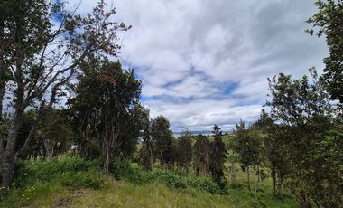 VENTA PARCELA n°8 EN CONDOMINIO-RILAN CASTRO