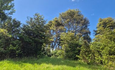 VENTA PARCELA n°8 EN CONDOMINIO-RILAN CASTRO