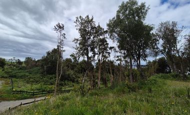 VENTA PARCELA n°8 EN CONDOMINIO-RILAN CASTRO