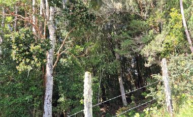 TERRENO 7,5 HA VISTA PANORAMICA, CHONCHI, CHILOE