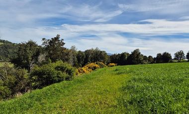 TERRENO 7,5 HA VISTA PANORAMICA, CHONCHI, CHILOE