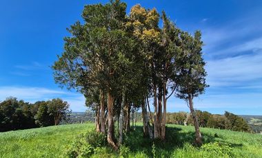 TERRENO 7,5 HA VISTA PANORAMICA, CHONCHI, CHILOE