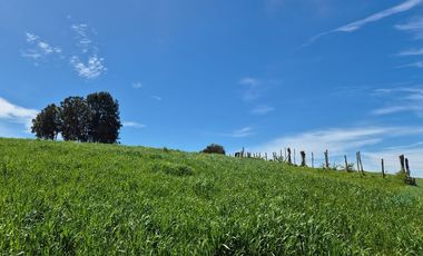TERRENO 7,5 HA VISTA PANORAMICA, CHONCHI, CHILOE