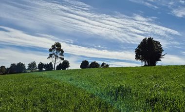 TERRENO 7,5 HA VISTA PANORAMICA, CHONCHI, CHILOE