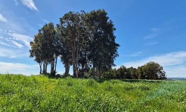 TERRENO 7,5 HA VISTA PANORAMICA, CHONCHI, CHILOE