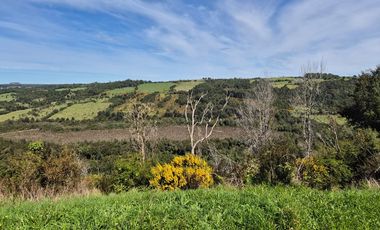 TERRENO 7,5 HA VISTA PANORAMICA, CHONCHI, CHILOE