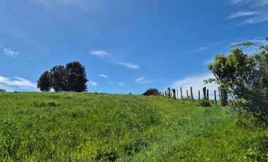 TERRENO 7,5 HA VISTA PANORAMICA, CHONCHI, CHILOE