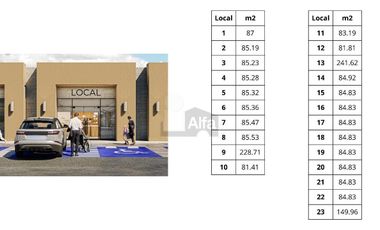 Locales Comerciales en venta con renta asegurada