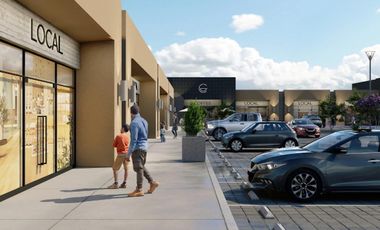 Locales Comerciales en venta con renta asegurada