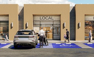 Locales Comerciales en venta con renta asegurada