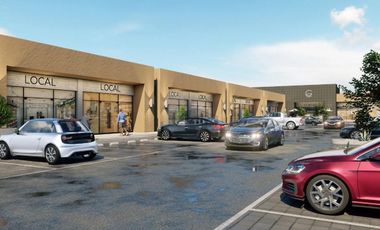 Locales Comerciales en venta con renta asegurada