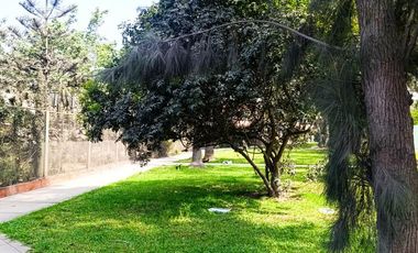 Se Alquilan Locales Comerciales – Javier Prado (Surco) Zonificación Cz – Desde 90 M²