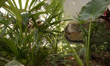 CASA CUATA 1 EN VENTA EN EL CENTRO DE MERIDA