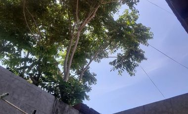 Departamento en venta - 5 Dormitorios 2 Baños - 90mts2 - Villa Soldati