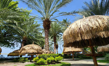 Apartamento en primera linea - playa Pozos Colorados - 005