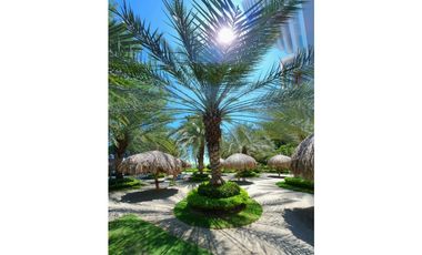 Apartamento en primera linea - playa Pozos Colorados - 005