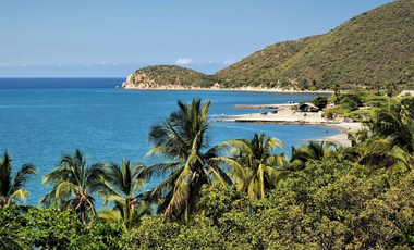 Apartamento en primera linea - playa Pozos Colorados - 005