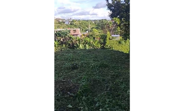 Se vende lote 1.500 m² en Portales de Alcalá