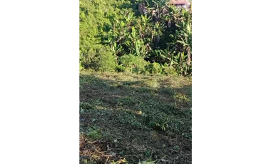 Se vende lote 1.500 m² en Portales de Alcalá