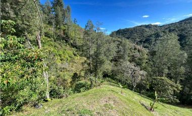 Vendo casa finca en Guatape