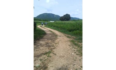 VENDO LOTE CAMPESTRE 3.185 M2 EN GIRARDOT, / VIA PPL