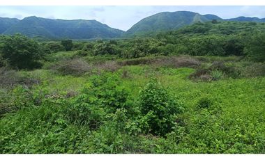 VENDO LOTE CAMPESTRE 3.185 M2 EN GIRARDOT, / VIA PPL