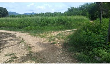 VENDO LOTE CAMPESTRE 3.185 M2 EN GIRARDOT, / VIA PPL