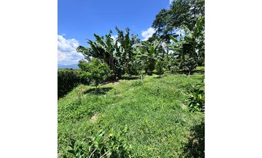 VENDO HERMOSA FINCA TURISTICA EN MORELIA RISARALDA