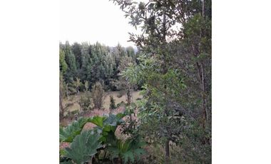 Grace Kelm VENDE parcela de 1,48 ha con casa regularizada 2 dorm 1 baño amoblada en Chiloe