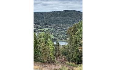 Grace Kelm VENDE parcela de 1,48 ha con casa regularizada 2 dorm 1 baño amoblada en Chiloe