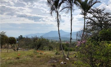 ZJG-93 Finca en venta, Fusagasugá