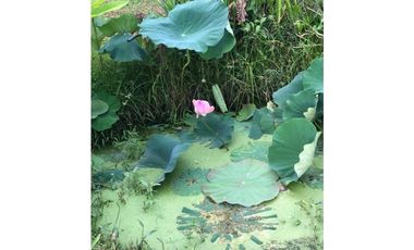 ZS-1203 Finca en venta, Anapoima