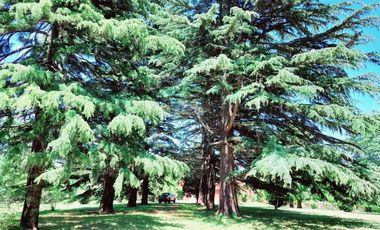 Casa en venta - 5 Dormitorios 2 Baños - Mar del Plata