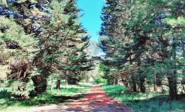 Casa en venta - 5 Dormitorios 2 Baños - Mar del Plata