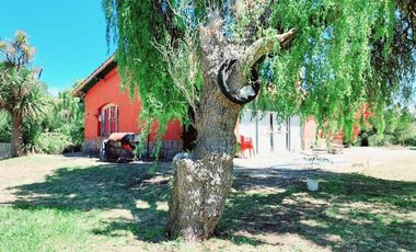 Casa en venta - 5 Dormitorios 2 Baños - Mar del Plata