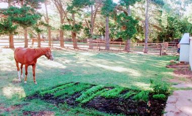 Casa en venta - 5 Dormitorios 2 Baños - Mar del Plata