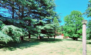 Casa en venta - 5 Dormitorios 2 Baños - Mar del Plata