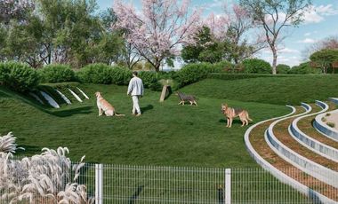 Terreno en Venta en Recoleta, Capitalia Motul