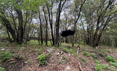 Terreno en venta en Puebla Haras ciudad ecológica 800 metros