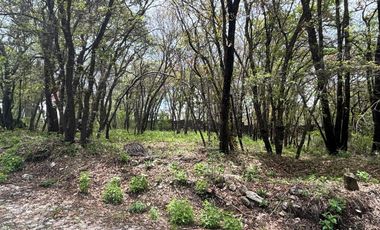 Terreno en venta en Puebla Haras ciudad ecológica 800 metros