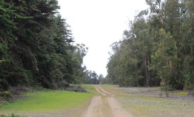 TERRENO DE 3,2 HA EN SECTOR EL TEBO ,HORCON