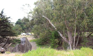 TERRENO DE 3,2 HA EN SECTOR EL TEBO ,HORCON