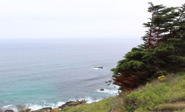 TERRENO DE 3,2 HA EN SECTOR EL TEBO ,HORCON