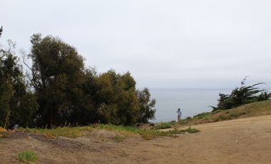 TERRENO DE 3,2 HA EN SECTOR EL TEBO ,HORCON