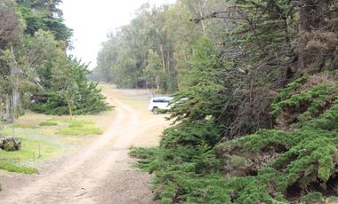 TERRENO DE 3,2 HA EN SECTOR EL TEBO ,HORCON