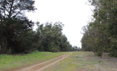 TERRENO DE 3,2 HA EN SECTOR EL TEBO ,HORCON